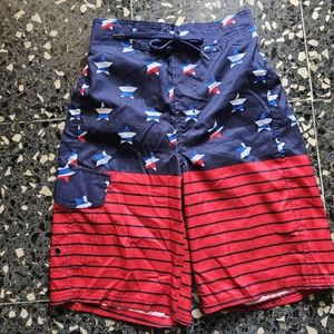 Boys Swim Trunk Joe Boxer